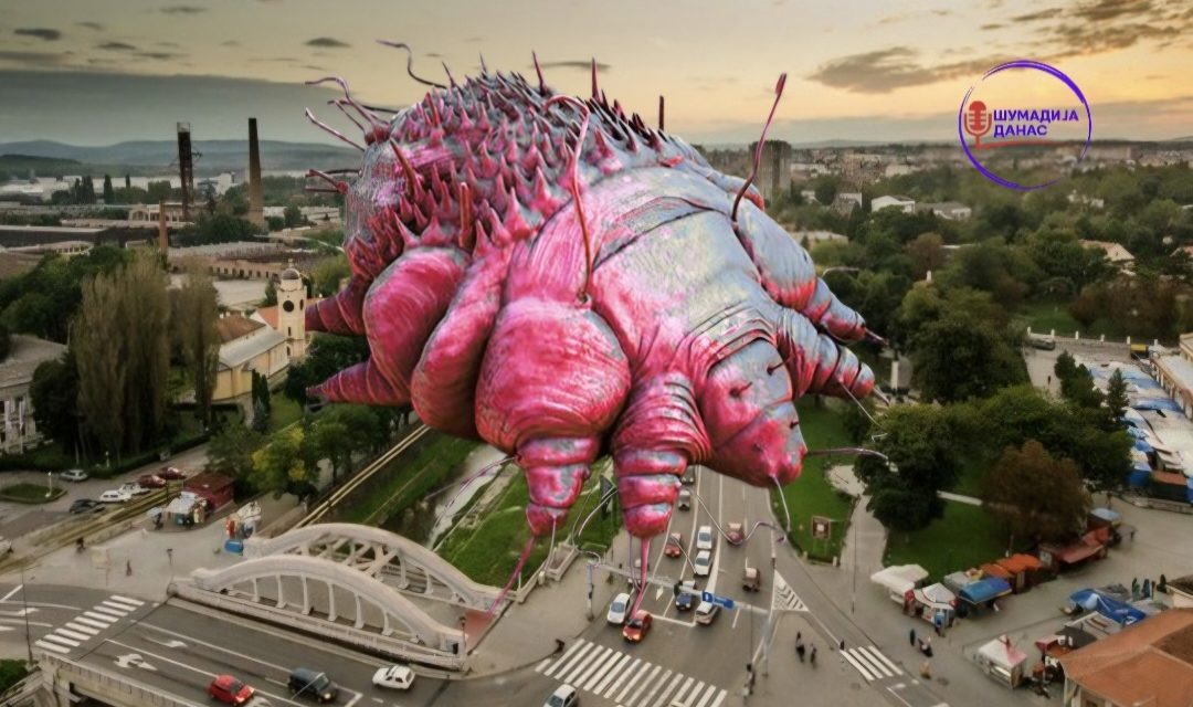 Шуга у Крагујевцу