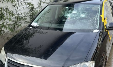 Два града једно питање: Имају ли институције капацитет за одговор