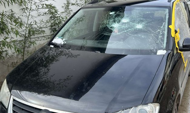 Два града једно питање: Имају ли институције капацитет за одговор