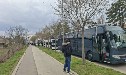 Митинг у Београду, притисак или страначка дисциплина