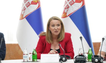 А шта ако већина дели мишљење Снежане Пауновић и Ивице Момчиловића?