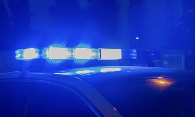 Зашто се крије идентитет и категорија „страног држављанина“ који је полно узнемиравао девојчицу?